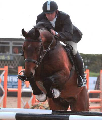 Show Jumping Horses For Sale In California